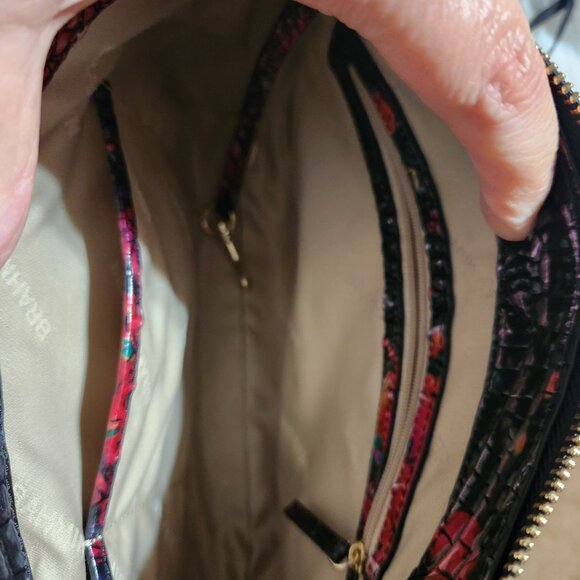 Brahmin - Picture 3 of 4